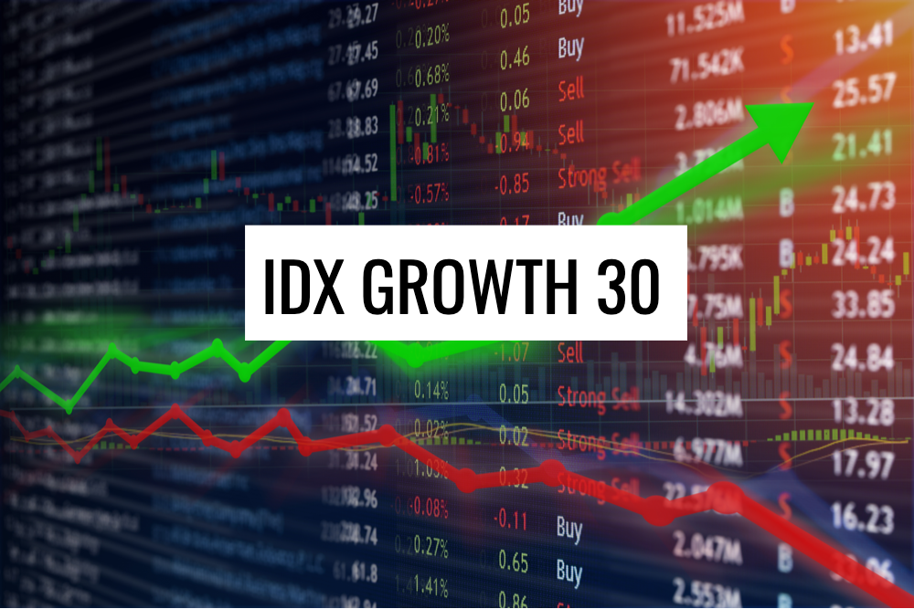 IDX SIDO Memahami Perusahaan dan Investasinya