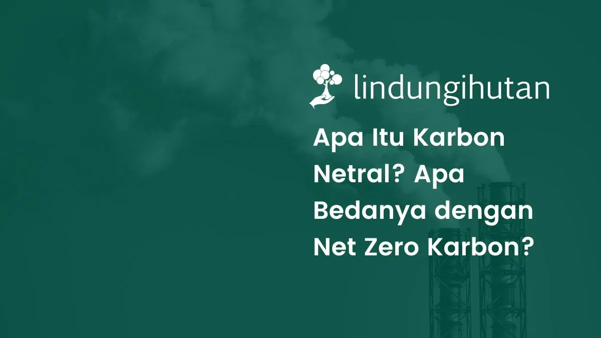 Apa itu Nett Adalah? Memahami Konsep Dasar dalam Bisnis dan Keuangan