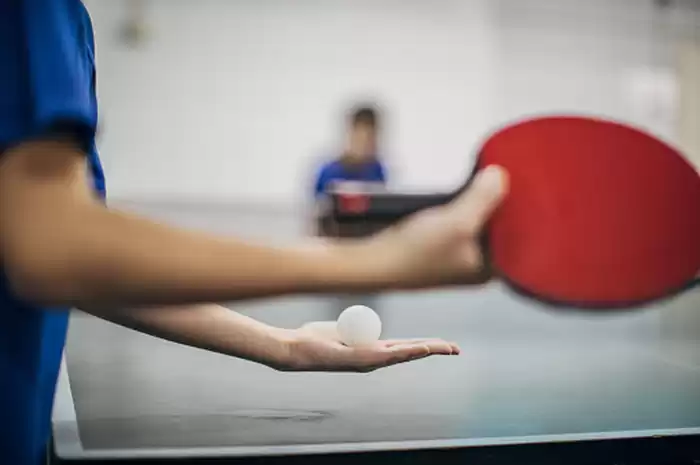 Induk Tenis Meja Memahami Dasar dan Perkembangannya