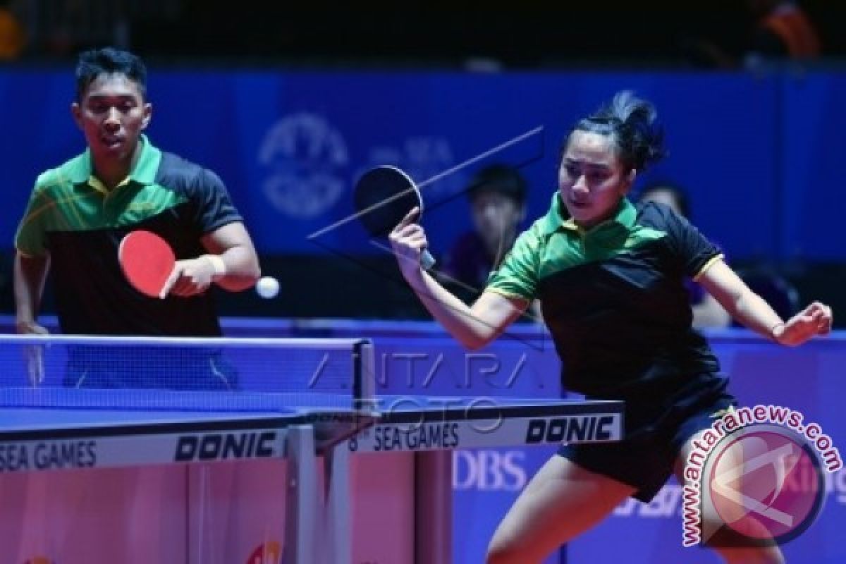 Induk Tenis Meja Memahami Dasar dan Perkembangannya