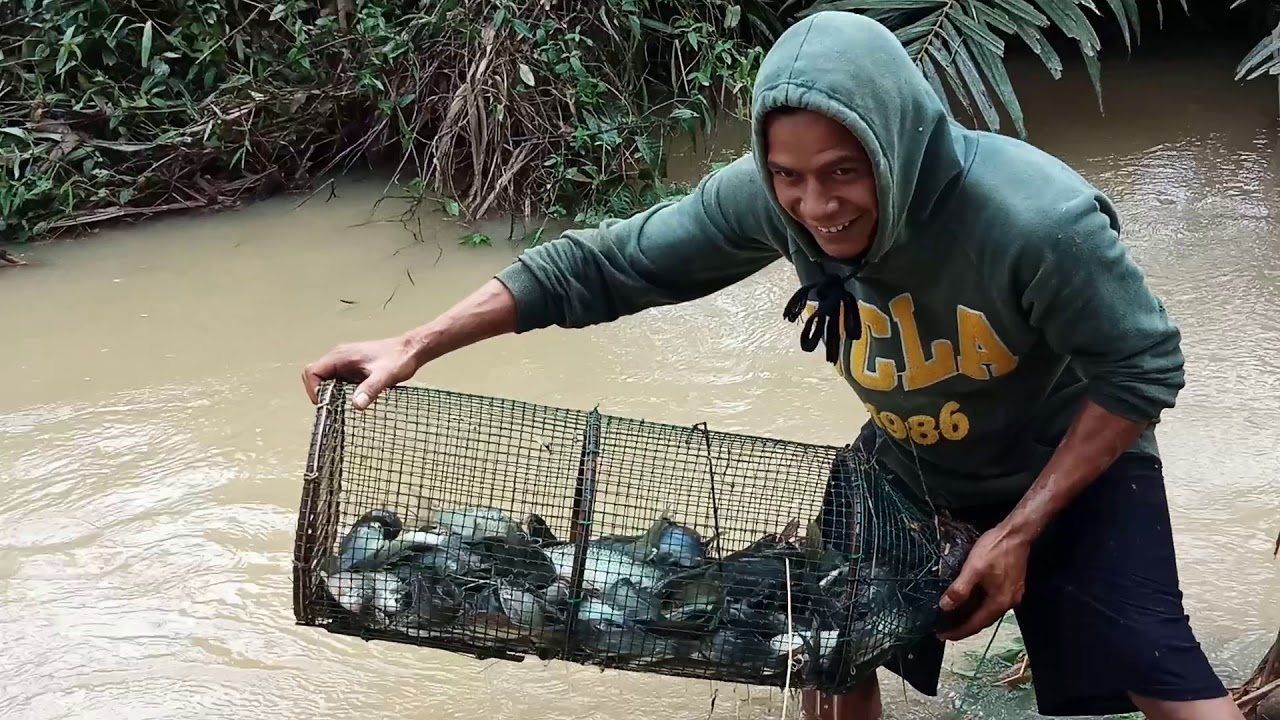 Mimpi Menangkap Ikan Togel Makna dan Tafsirnya